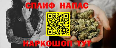 спиды Славгород