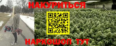 спиды Славгород