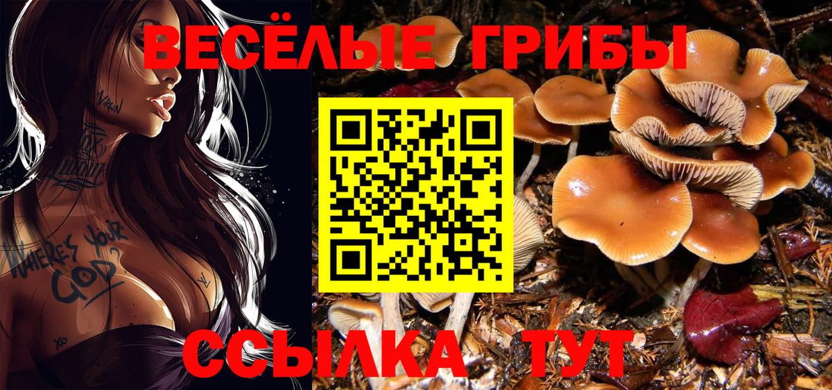 Псилоцибиновые грибы мухоморы Нижний Новгород