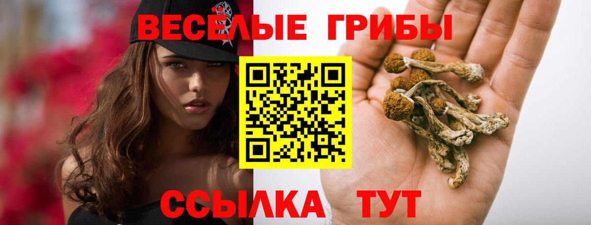 Нижний Новгород  Галлюциногенные грибы Psilocybine cubensis  Вход с VPN 